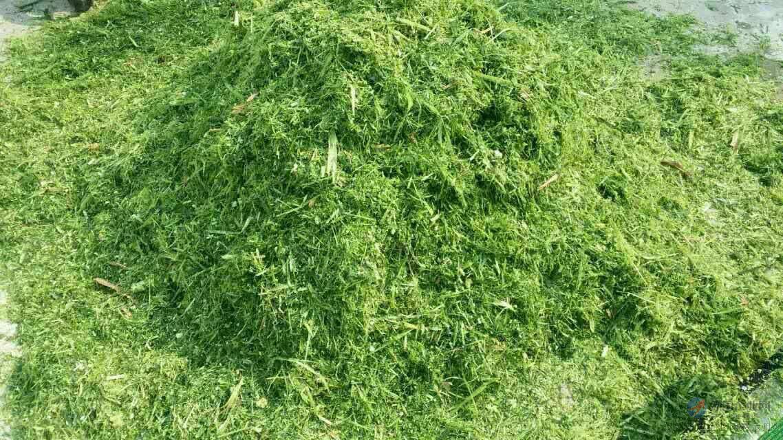 方捆秸秆打包机